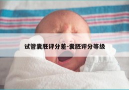 试管囊胚评分差-囊胚评分等级
