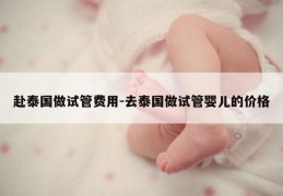 赴泰国做试管费用-去泰国做试管婴儿的价格