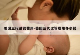 美国三代试管费用-美国三代试管费用多少钱