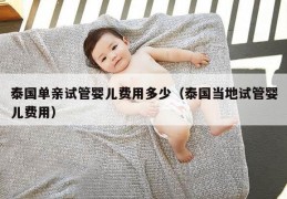 泰国单亲试管婴儿费用多少（泰国当地试管婴儿费用）