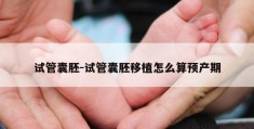 试管囊胚-试管囊胚移植怎么算预产期