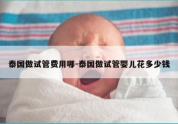 泰国做试管费用哪-泰国做试管婴儿花多少钱