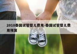 2018泰国试管婴儿费用-泰国试管婴儿费用预算