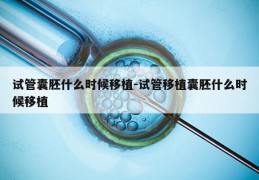 试管囊胚什么时候移植-试管移植囊胚什么时候移植