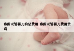 泰国试管婴儿的总费用-泰国试管婴儿费用贵吗