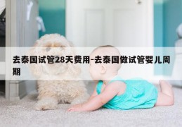 去泰国试管28天费用-去泰国做试管婴儿周期