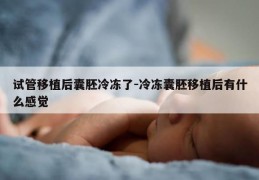 试管移植后囊胚冷冻了-冷冻囊胚移植后有什么感觉