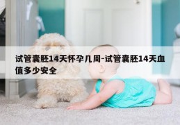 试管囊胚14天怀孕几周-试管囊胚14天血值多少安全