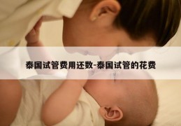 泰国试管费用还数-泰国试管的花费