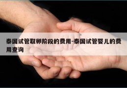 泰国试管取卵阶段的费用-泰国试管婴儿的费用查询
