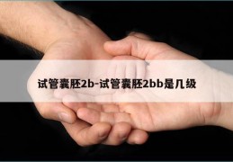 试管囊胚2b-试管囊胚2bb是几级