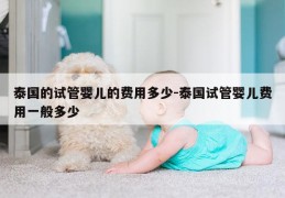 泰国的试管婴儿的费用多少-泰国试管婴儿费用一般多少