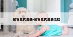 试管三代囊胚-试管三代囊胚活检
