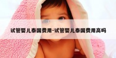 试管婴儿泰国费用-试管婴儿泰国费用高吗