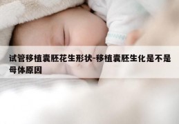 试管移植囊胚花生形状-移植囊胚生化是不是母体原因