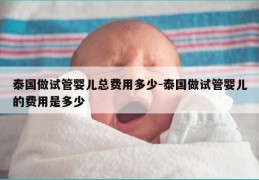 泰国做试管婴儿总费用多少-泰国做试管婴儿的费用是多少