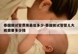 泰国做试管费用最低多少-泰国做试管婴儿大概需要多少钱