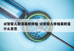 试管婴儿取消囊胚移植-试管婴儿移植囊胚是什么意思