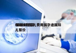 泰国试管婴儿费用撰孕途国际-泰国试管婴儿报价