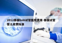 2012泰国bnh试管医院费用-泰国试管婴儿收费标准