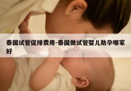 泰国试管促排费用-泰国做试管婴儿助孕哪家好