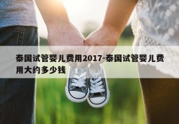 泰国试管婴儿费用2017-泰国试管婴儿费用大约多少钱