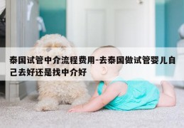 泰国试管中介流程费用-去泰国做试管婴儿自己去好还是找中介好