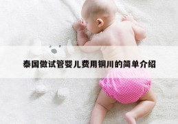 泰国做试管婴儿费用铜川的简单介绍