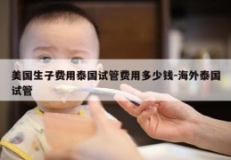美国生子费用泰国试管费用多少钱-海外泰国试管