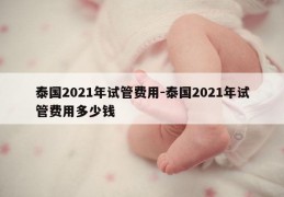 泰国2021年试管费用-泰国2021年试管费用多少钱