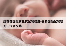 想在泰国做第三代试管费用-去泰国做试管婴儿三代多少钱