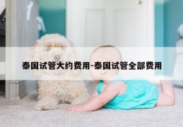 泰国试管大约费用-泰国试管全部费用