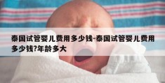 泰国试管婴儿费用多少钱-泰国试管婴儿费用多少钱?年龄多大