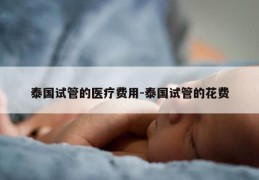 泰国试管的医疗费用-泰国试管的花费