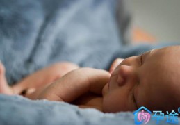 高龄试管婴儿取多少卵子合适
