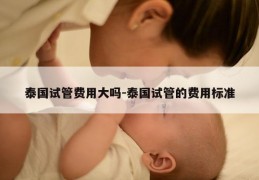 泰国试管费用大吗-泰国试管的费用标准