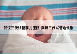 武汉三代试管婴儿医院-武汉三代试管选XB