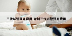 三代试管婴儿费用-老挝三代试管婴儿费用