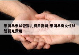 泰国单亲试管婴儿费用高吗-泰国单身女性试管婴儿费用