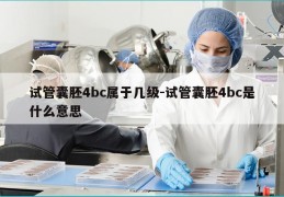 试管囊胚4bc属于几级-试管囊胚4bc是什么意思