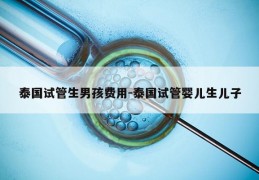 泰国试管生NH费用-泰国试管婴儿生EZ