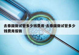 去泰国做试管多少钱费用-去泰国做试管多少钱费用报销