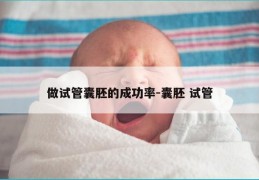做试管囊胚的成功率-囊胚 试管