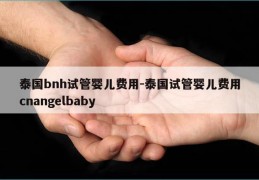 泰国bnh试管婴儿费用-泰国试管婴儿费用cnangelbaby