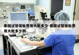 泰国试管保胎费用大概多少-泰国试管保胎费用大概多少啊