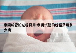 泰国试管的过程费用-泰国试管的过程费用多少钱