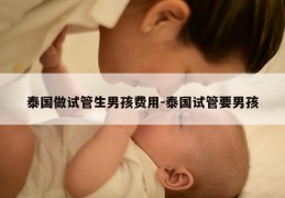泰国做试管生NH费用-泰国试管要NH