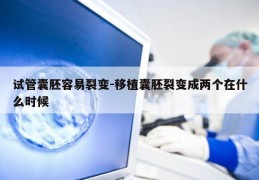 试管囊胚容易裂变-移植囊胚裂变成两个在什么时候