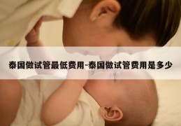 泰国做试管最低费用-泰国做试管费用是多少