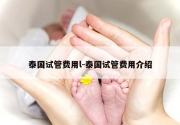 泰国试管费用l-泰国试管费用介绍